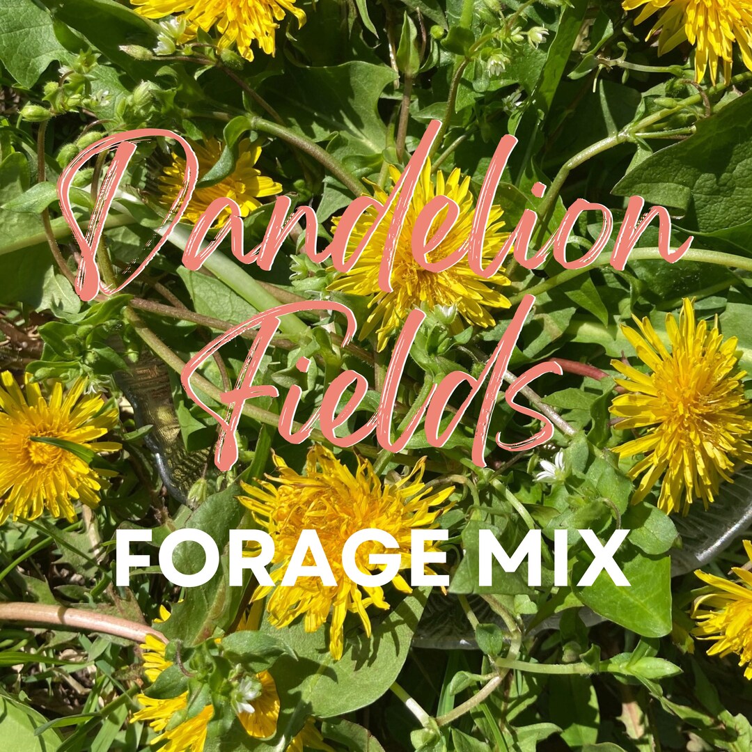 Forage Mix, dandelion Fields, Hay Topper With Organic, Locally Grown