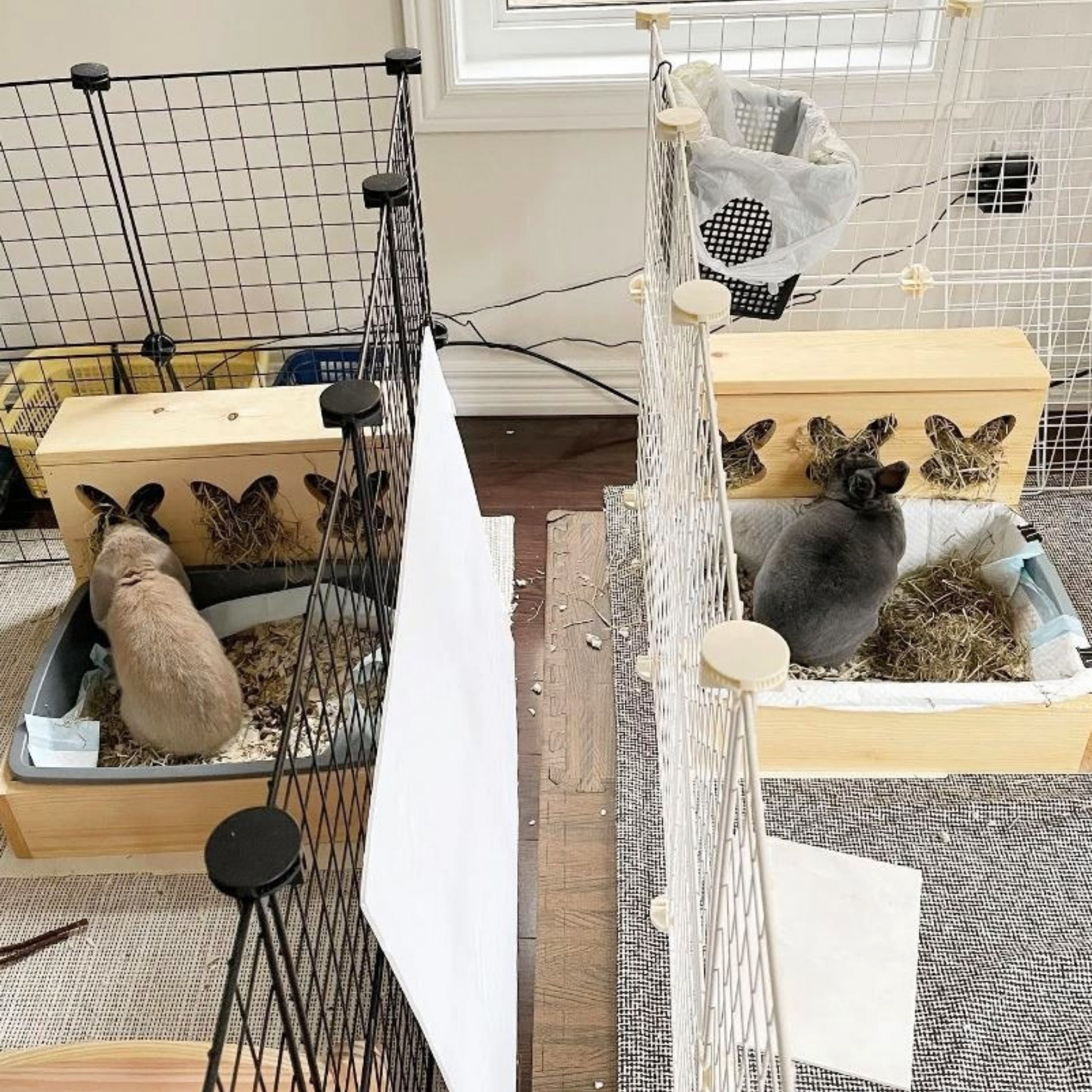 Hay Feeder & Litter Box triple Bunny Head Combo / Etsy Canada