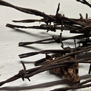 May include: Close-up of rusty barbed wire with sharp barbs. The wire is a dark brown color and lies on a white surface. The image has a rustic, weathered appearance, suggesting age and exposure to the elements.