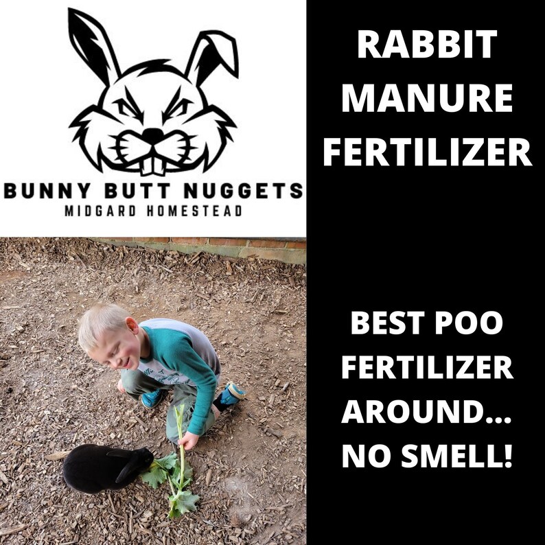 Bunny Butt Nuggets Rabbit Fertilizer. Poop Garden Rabbits Etsy