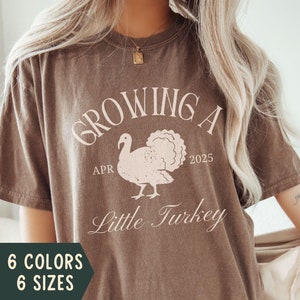 Thanksgiving Pregnancy Announcement Shirt, Fall Pregnant Comfort Colors TShirt, Thankful Pregnancy Reveal Shirt, Autumn Pregnant Reveal Tee