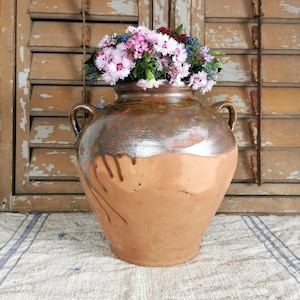 Peut inclure: Un grand vase rustique en terre cuite avec deux anses, rempli d'un bouquet vibrant de fleurs roses, violettes et bleues. Le vase a un dessus vernissé marron et repose sur une surface texturée blanc cassé.
