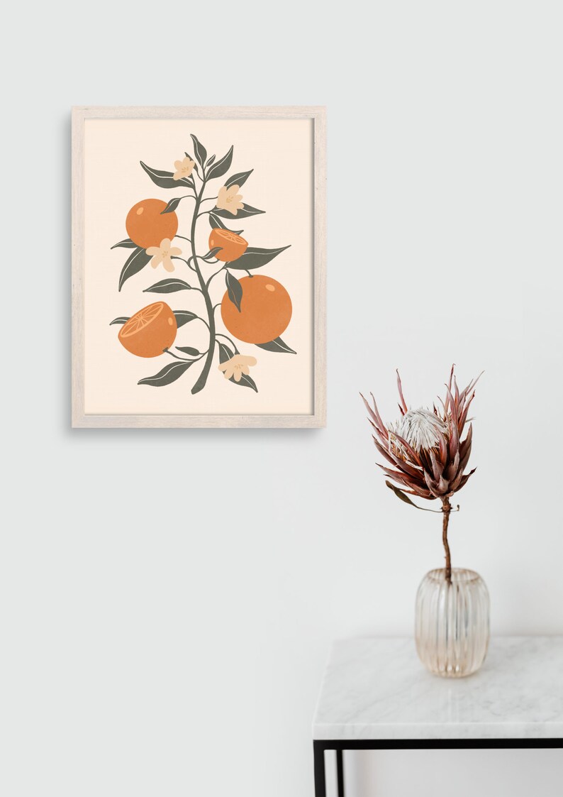 Vintage Clementine Wall Art Orange Fruit Illustration Mid Etsy