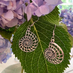 Ammonite earrings, fossil earrings, shell earrings, seashell earrings