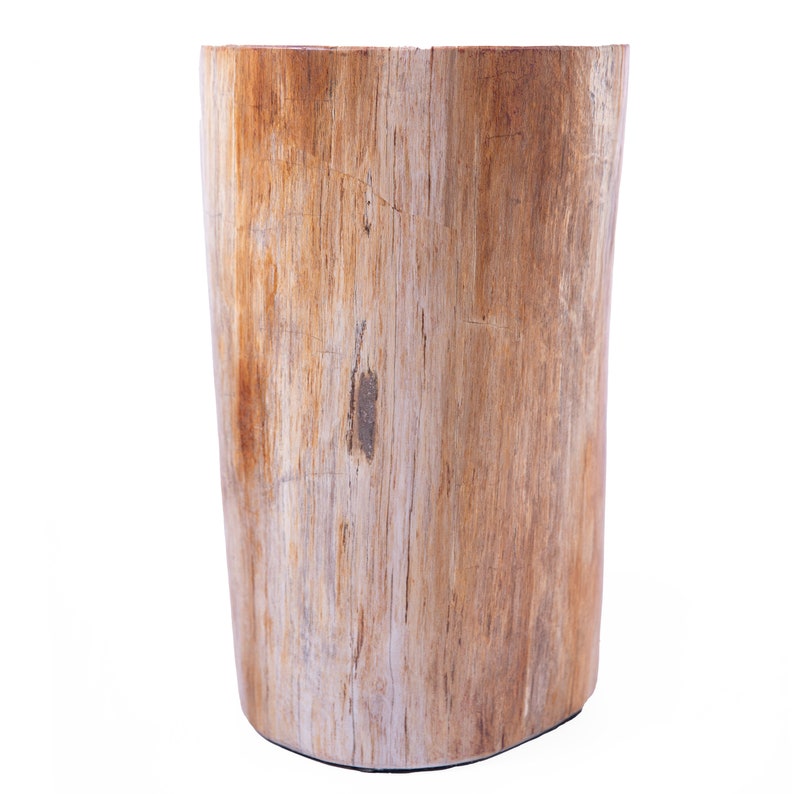 Petrified Wood Accent End Table Etsy