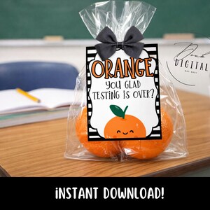 May include: A clear cellophane bag tied with a gray bow, containing two oranges. A tag reads "ORANGE YOU GLAD TESTING IS OVER?" with a smiling orange graphic. The background includes a desk and a chalkboard.