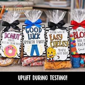 Testing Encouragement Tags: Printable (PDF)