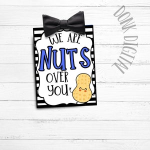 We are NUTS over you-  Happy Fathers Day Tag- appreciation tag- employee appreciation- teacher appreciation