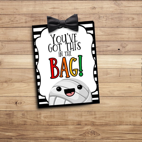 Volleyball Treat Bag Etsy