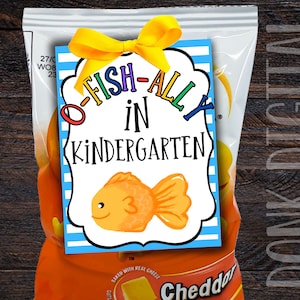 Ofishally in Kindergarten- Kindergarten Tag- Preschool Graduation-