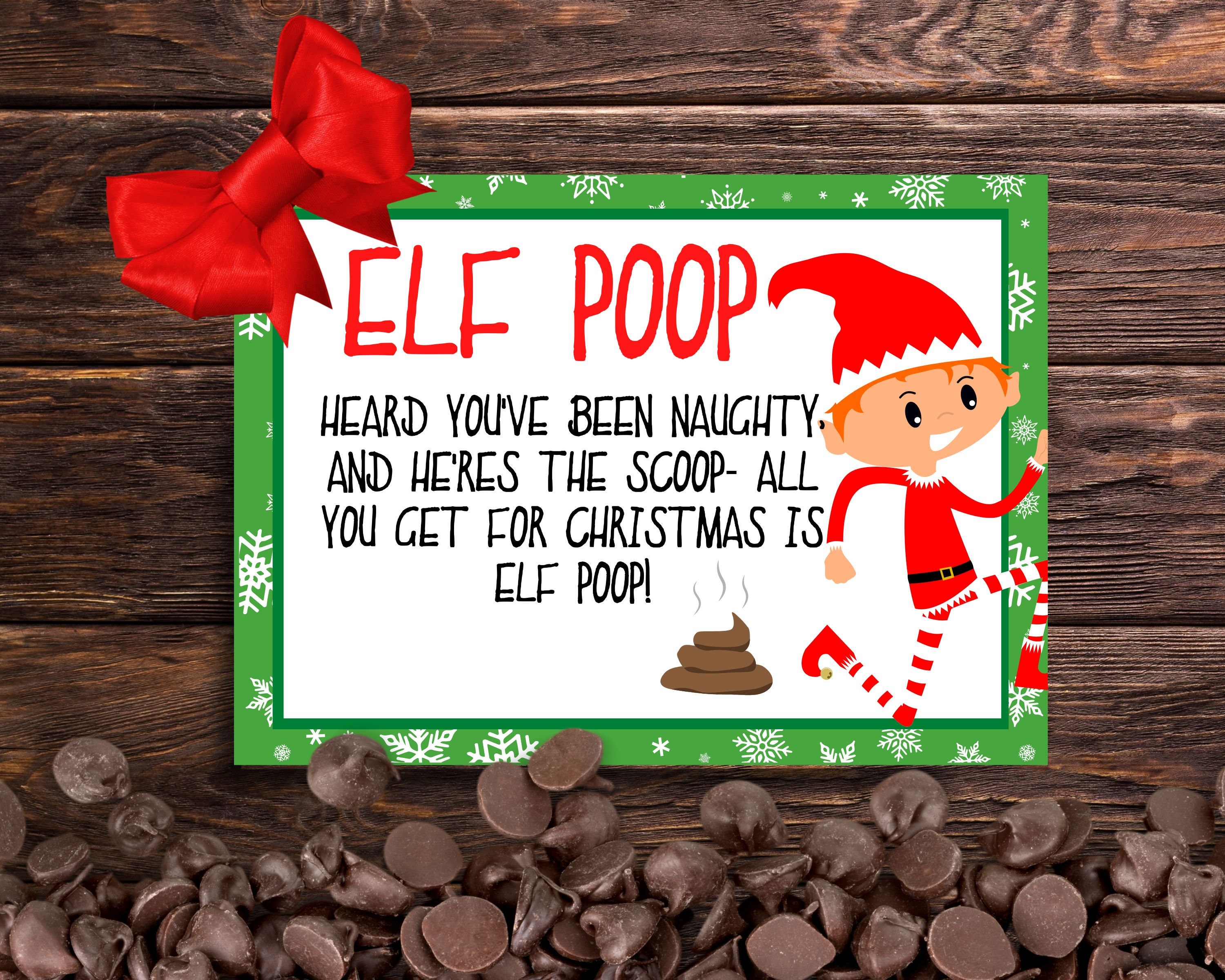Naughty Elf On The Shelf Poop Cover Photo