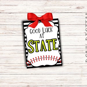 Good Luck at State- State Softball-  Softball tag- Softball Favors- Team Gift Tag- Team Appreciation- Good Luck Tag