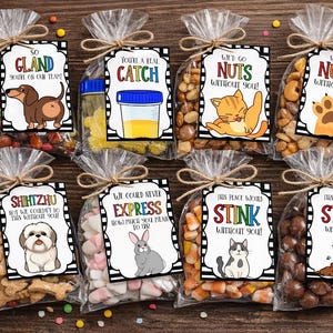 Funny Vet Appreciation Gift Tags: printable (PDF)