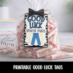 Good Luck Tag: Student Testing Treat (PDF)