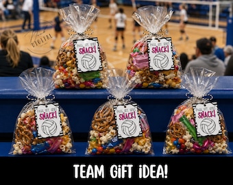 May include: Five clear plastic bags filled with assorted snacks, including pretzels and popcorn, each tied with black and white twine. A white rectangular tag attached to each bag features a volleyball graphic and the text PASS, SET, SPIKE SNACK!