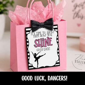 May include: A pink gift bag with a black bow and pink tissue paper. A white card with black stripes features the text "SHINE GOOD LUCK!" and a ballerina silhouette. The bag reads "GOOD LUCK, DANCERS!"