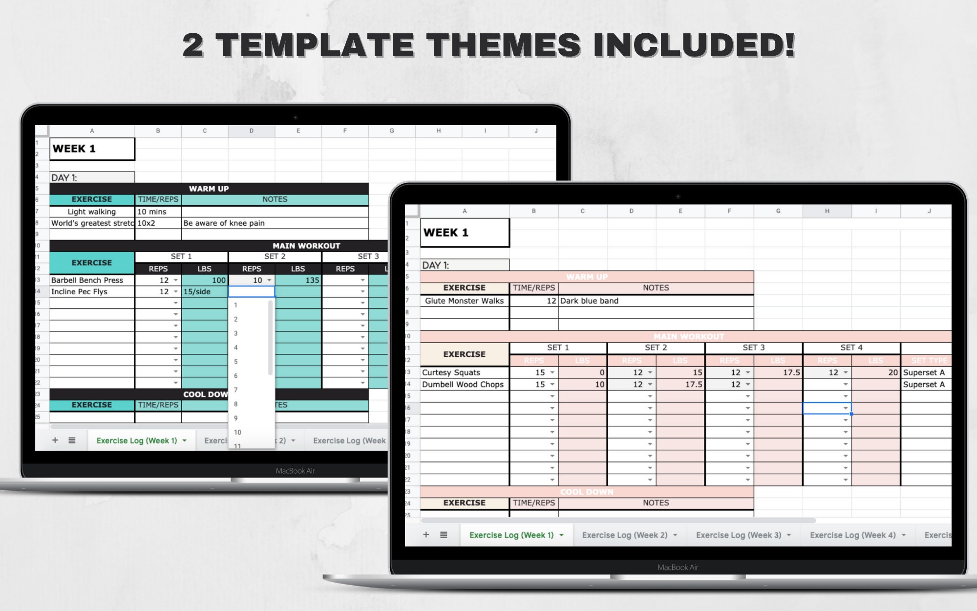 Personal Trainer Program Template NASM / Electronic   PDF Version   PT