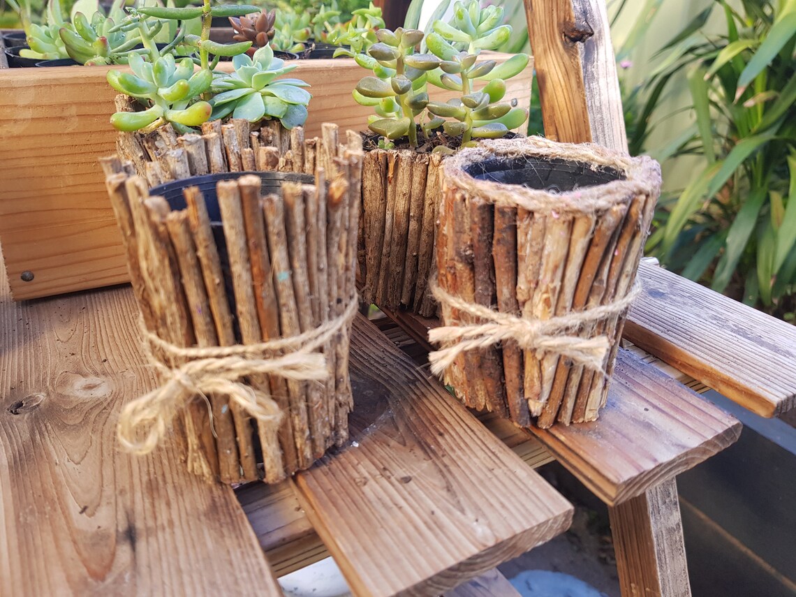 Wooden Sticks Little Plant Holders/pots Etsy UK