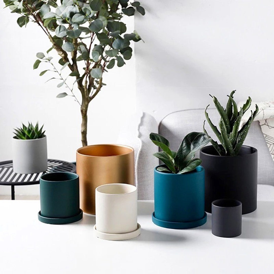 Modern Plant Pot With Drainage Minimalist Succulent Pot - Etsy