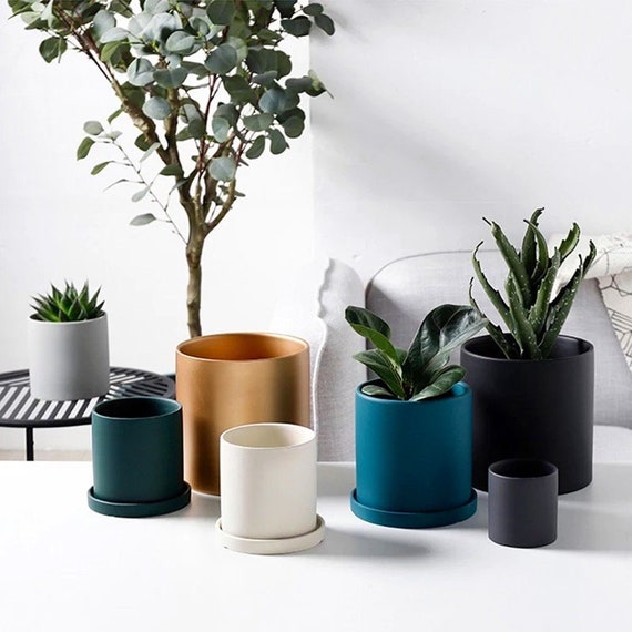 Verandering Matroos wenselijk Moderne plantenpot met drainage Minimalistisch Sappige Pot - Etsy Nederland