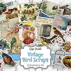 Vintage Bird Ephemera, Digital File, Scraps, Junk Journal Printable, Printable Ephemera, Collage Papers, Fussy Cuts, Vintage Birds