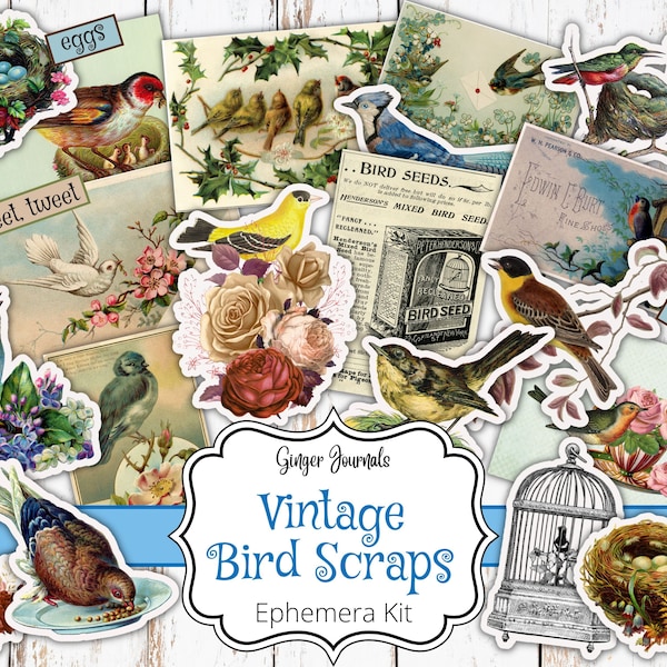 Vintage Bird Ephemera, Digital File, Scraps, Junk Journal Printable, Printable Ephemera, Collage Papers, Fussy Cuts, Vintage Birds