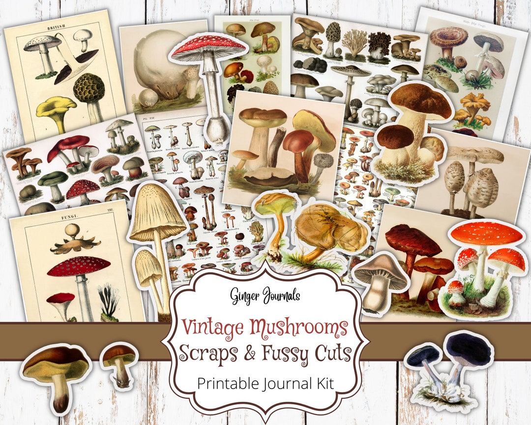 Vintage Mushroom Ephemera, Vintage Scraps, Junk Journal Printable ...