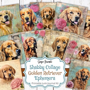 Kit de itens de diário de lixo Golden Retriever, diário de lixo para impressão, download, kit de diário de lixo, retriever, cachorro, dourado, colagem surrada