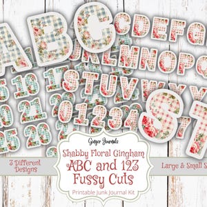 May include: A collection of paper cutouts featuring letters and numbers. The letters and numbers have a floral and gingham pattern in shades of pink, blue, and white. The text on the image reads "Shabby Floral Gingham ABC and 123 Fussy Cuts".
