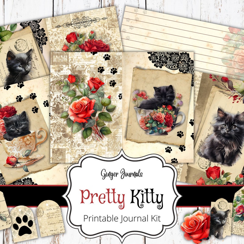 Black Cat Red Background - Etsy