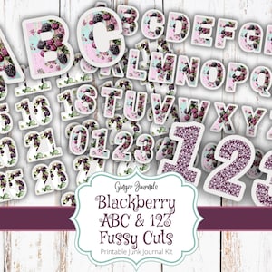 Blackberry ABC y 123 Fussy Cuts, Kit de diario basura de verano, Imprimible de diario basura, Kit de diario basura, Alfabeto, Números, Letras, BBJK