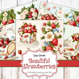 Bellissimo kit per diario spazzatura alle fragole, diario spazzatura stampabile, diario spazzatura alle fragole, diario allo zenzero, diario del giardino, estate, SBB