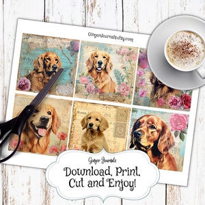 Picture of Thinning shears recommendations - Golden Retriever Dog Forums