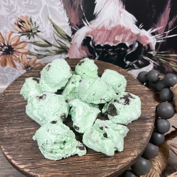 Freeze Dried Mint Chocolate Chip Ice Cream, Mint, Ice Cream, Mint Chocolate Chip, Holidays, Birthdays, Parties, Halloween Candy, Halloween