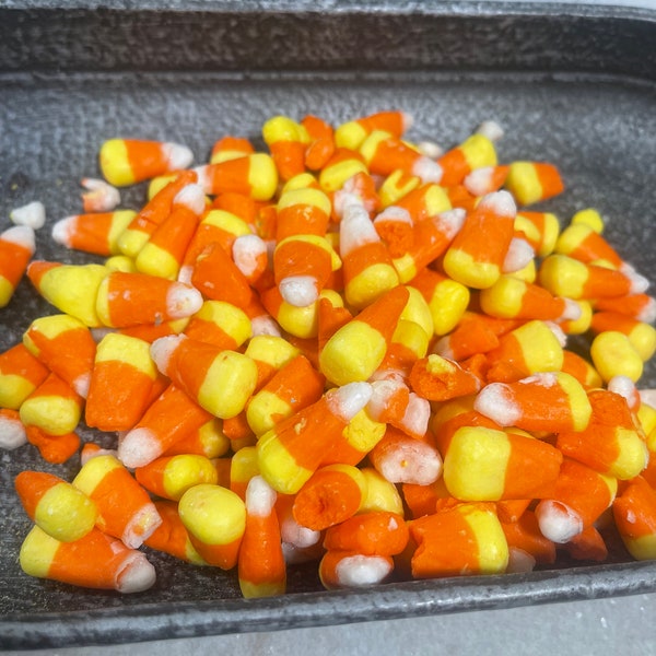 Freeze Dried Candy Corn- Freeze Dried Candy, Corn, Birthday Parties, Holidays, Candy, Halloween Candy, Halloween