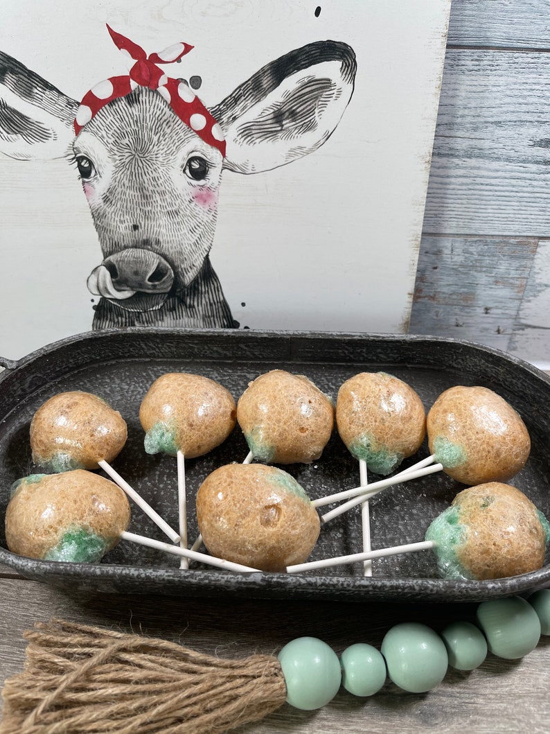 Freeze Dried Caramel Apple Lollipops Etsy