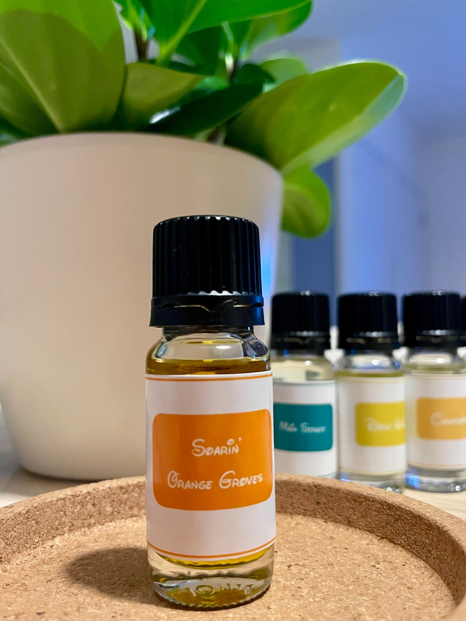 DISNEY Scented Diffuser Oil Magical Disney Fragrance Oil Etsy