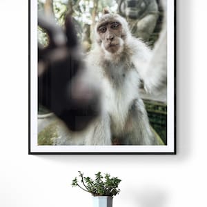 Monkey in the Jungle | Bali Monkey Forest Wall Art | Tropical Nature Decor | Instant Digital Download