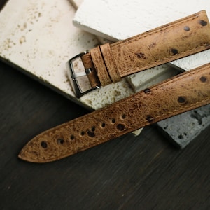 Conag patina cow leather embossed with ostrich motifs padded watch strap- Dap DD-CONAG-F-S-M-N-