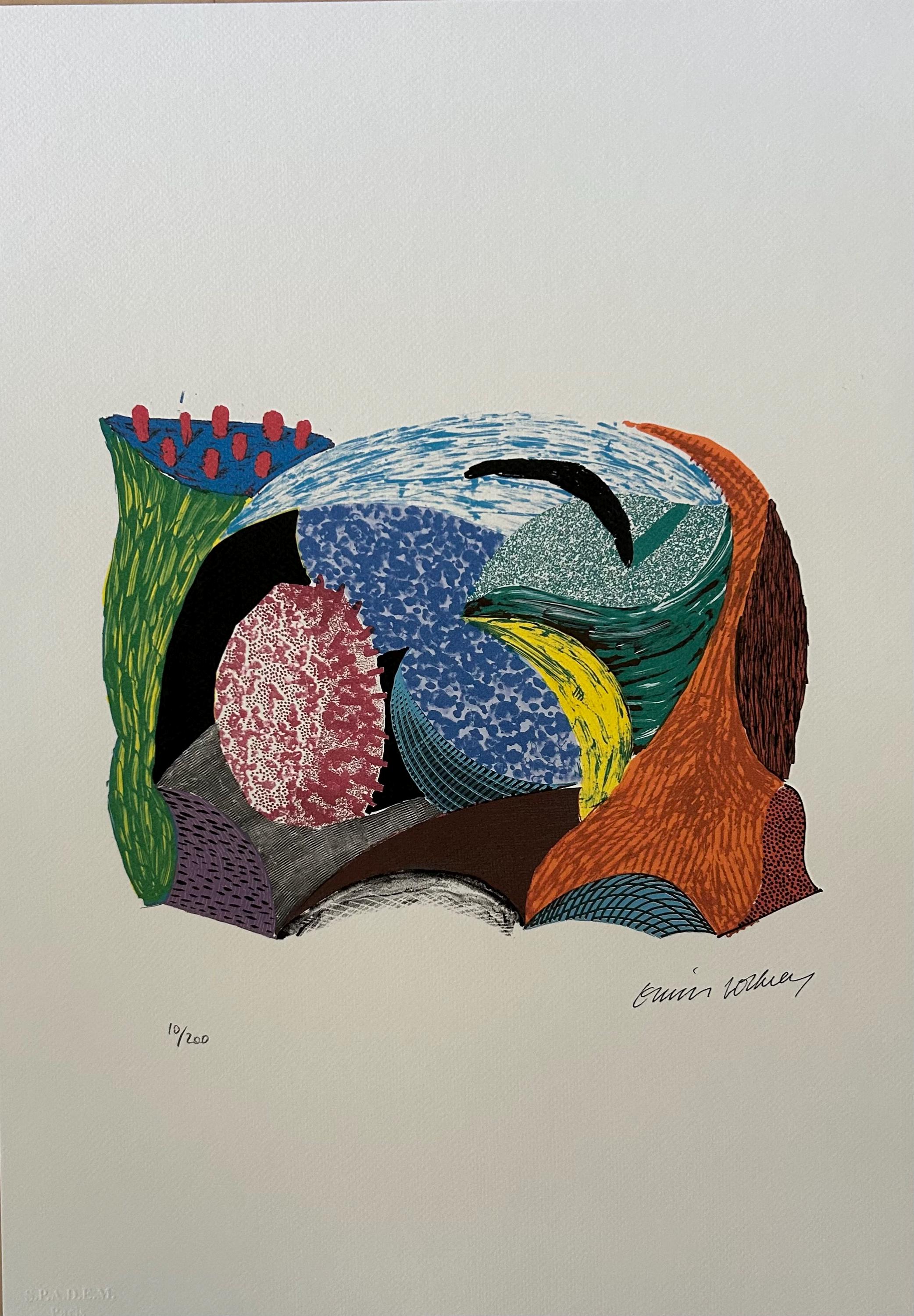 DAVID HOCKNEY/額装作品 DAVID HOCKNEY/額装作品 - 版画