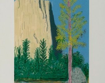 David Hockney 