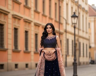 Embroidered Velvet Lehenga Choli with Dupatta (Large)