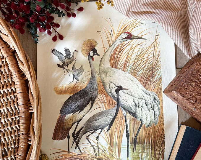 Antique Print of “cranes“ by Arthur Singer - Etsy