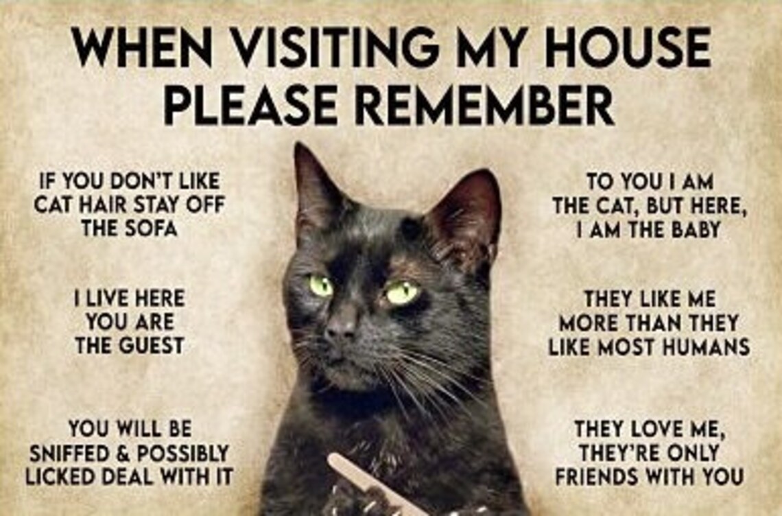 When Visiting My House Please Remember Funny Cat Poster Etsy