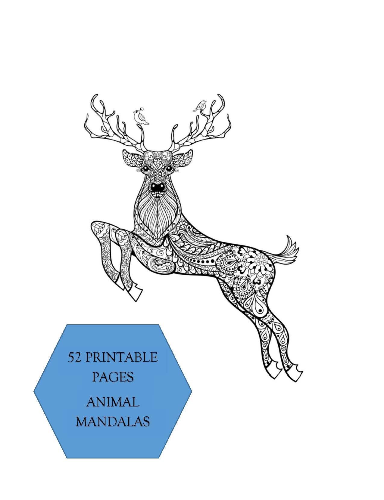 Printable Animal Coloring Pages - 52 Pages - Etsy
