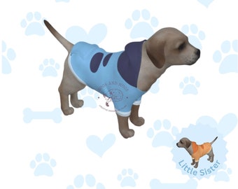 Blue dog Costume for Dog Dog's Pullover Hoodie Pet costume Halloween pet dog family costume big sister