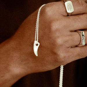 Puede incluir: Un collar con colgante de plata con un diseño curvo en forma de diente. La imagen también muestra dos anillos de plata, uno rectangular con un emblema de león y otro con un diseño curvo. La joyería se encuentra sobre un fondo oscuro.