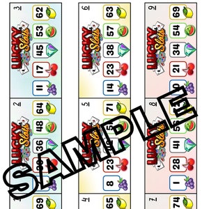 Lucky slots 5 numéros CONTIENT le bingo (carte 25, carte maîtresse, feuille d'appel)