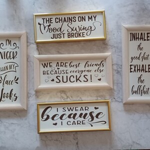 Sarcastic wall decor signs in frames, 4.5"x10.5" frames in Brass (gold) or Whitewash Wood, 11 available phrases, or request a custom phrase