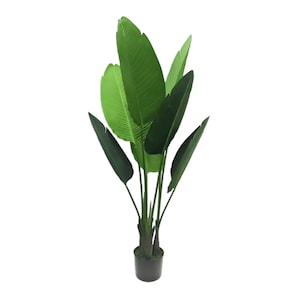 Könnte beinhalten: Künstliche grüne Paradiesvogelpflanze in einem schwarzen Topf. Die Pflanze hat mehrere Blätter, die lang und schmal sind.